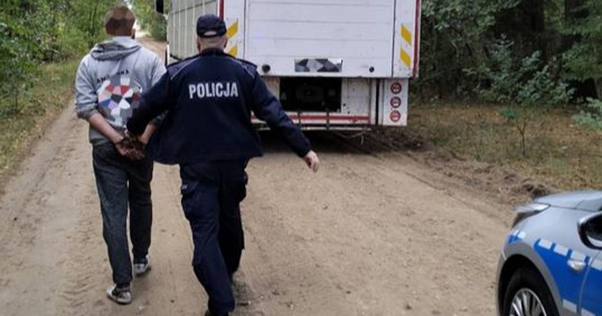  Twarz kierowcy tira zaniepokoiła policjanta. Zaskakujący finał na DK 53