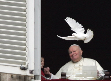 FILES-VATICAN-POPE-DOVES