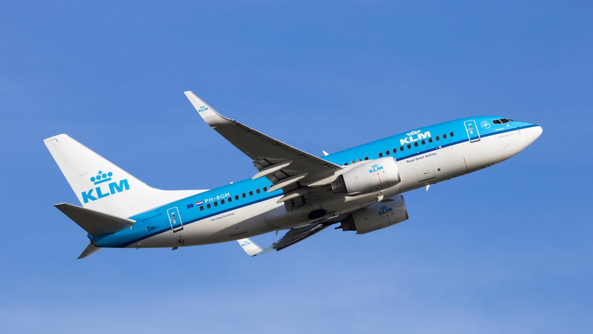 Linie lotnicze KLM chcą pozwać lotnisko w Amsterdamie - Dziennik.pl