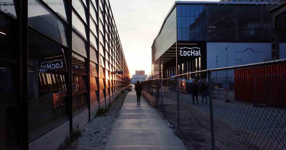 Nikola studiowała w Holandii. "Obowiązuje tam system maczujący"