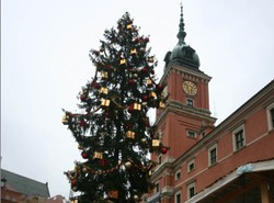 Jeszcze milion koron za wypadek ze świąteczną choinką