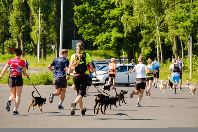 Psi Maraton po raz pierwszy zorganizowano w Parku Śląskim