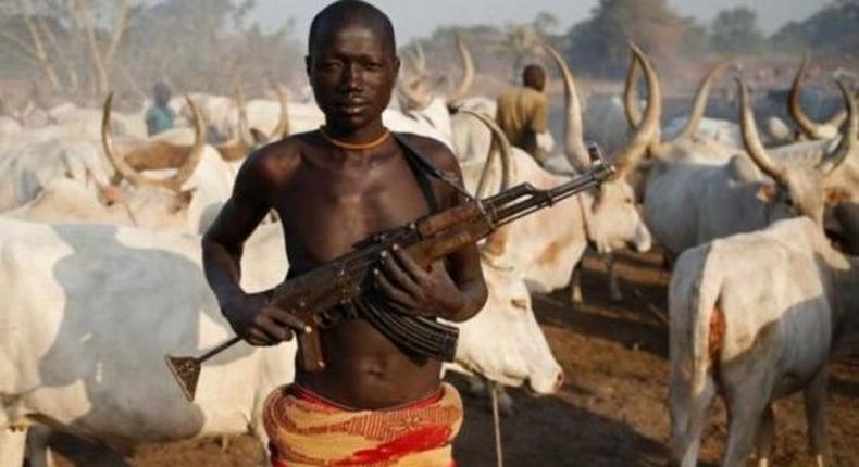 Armed Fulani herdsman