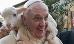 Papież nosi barana na barana