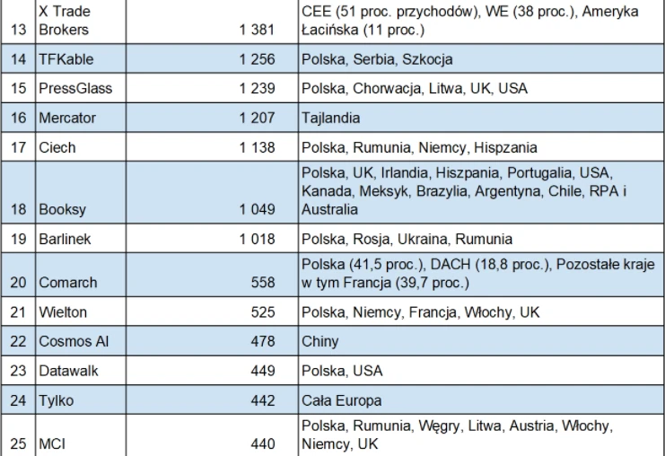 Ranking największych prywatnych inwestorów zagranicznych 13-25