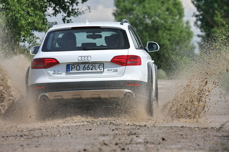 Audi A4 Allroad: W teren i na autostradę