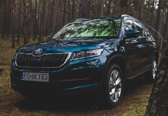 Duży kumpel inspirowany Alaską. Skoda Kodiaq to kawał porządnego auta