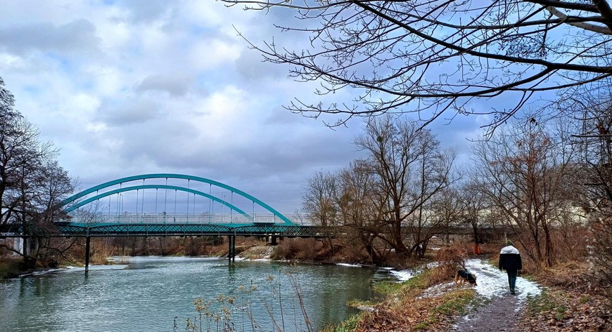 Na tym terenie występuje 26 gatunków ptaków, sześć gatunków nietoperzy, jaszczurki, żaby, krety, norki, wiewiórki i bobry.
