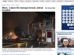 Narażał życie, by ocalić psy