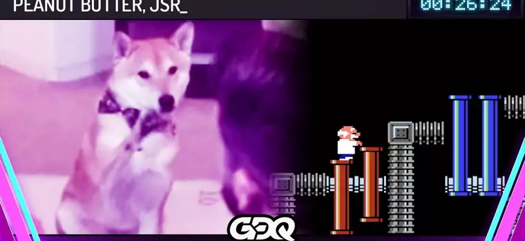 Pies ukończył grę wideo podczas charytatywnego streama