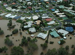 Rekiny grasują... w australijskich miastach