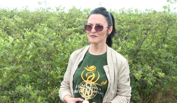 Ivana Marjanović, plantaža aronije