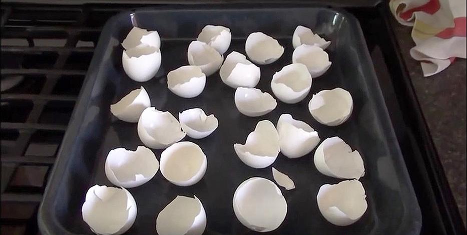 Ha megtudod, miért süti meg a tojáshéjat, ezután többé nem dobod majd ki! (videó)