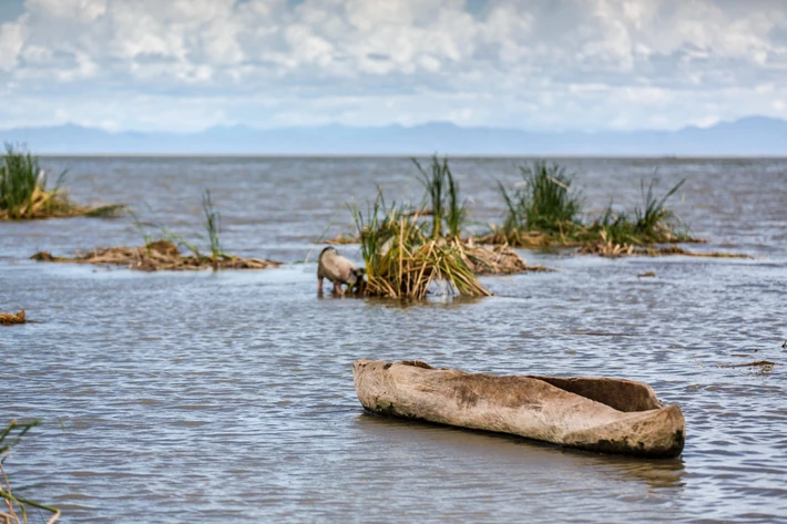 Jezioro Turkana