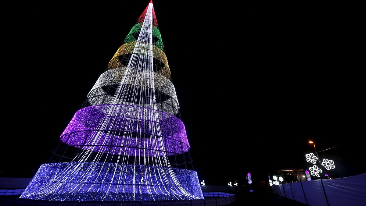 Wider Image: Christmas trees around the world