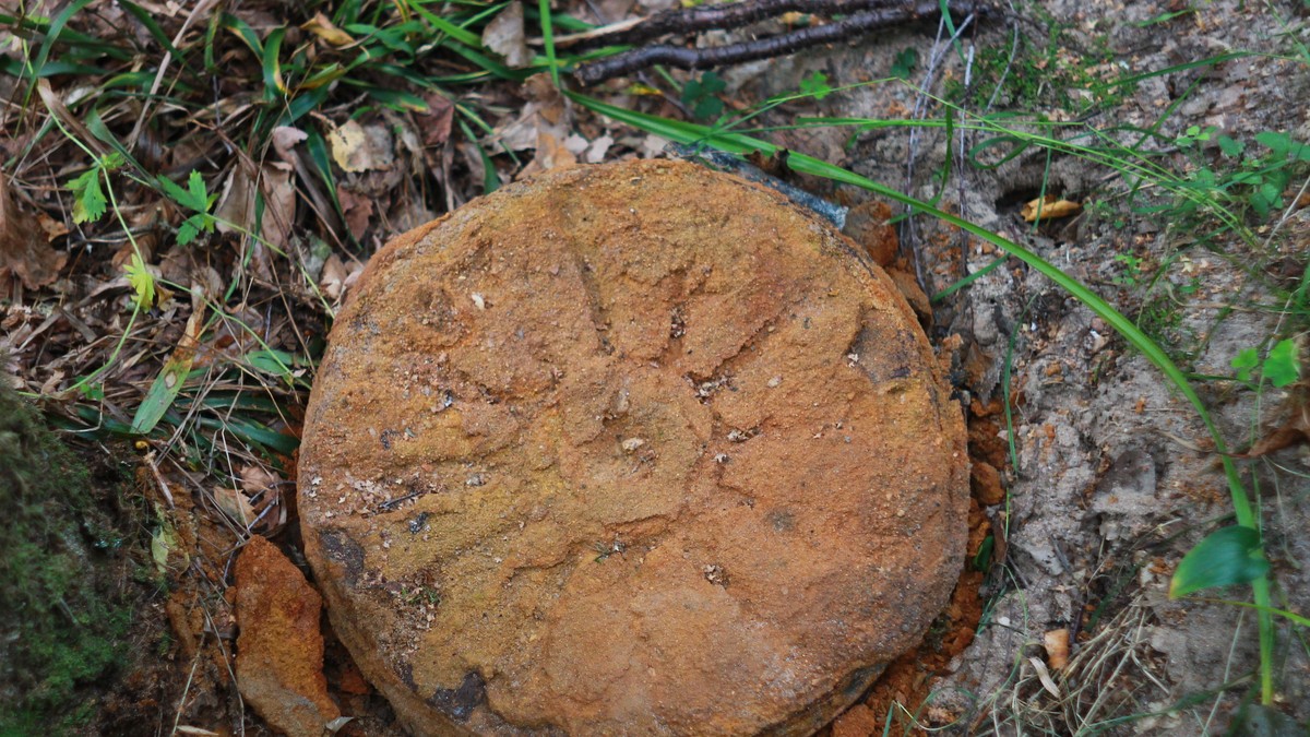 DECA SE IGRALA ISPRED ZGRADE, PA NAŠLA SUMNJIV PREDMET Drama u Banjaluci, roditelji ŠOKIRANI: Policija odmah izašla teren Kép