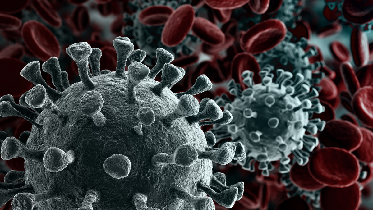 Koronawirus zastąpił grypę. Naukowcy odkryli, że zniknął jeden z wirusów grypy