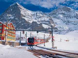 Grindelwald – kursująca od 1912 roku kolejka wspina się na najwyżej położoną stację w Europie na przełęczy Jungfraujoch (3454 m n.p.m.), pokonując po drodze 1393 m różnicy poziomów. 