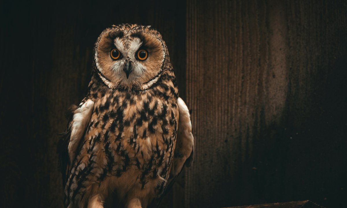 Nie dla geniuszy, ale łatwo też nie jest. 10 pytań z wiedzy ogólnej