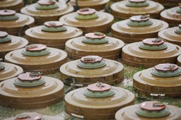 amnesty international alarmuje: decyzja rządu uderzy w polaków, nie w