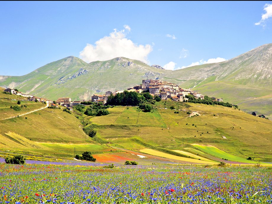 The small town of Castellucio di Norcia sits near Norcia in Umbria, Italy. The town is famous for its brilliant display of flowers, which bloom from late May to early July.