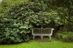 Kilka praktycznych pomysłów na zacienione miejsce w ogrodzie