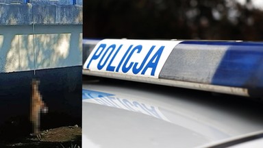 Makabryczne odkrycie na moście w Tczewie. Policja prosi świadków o reakcję