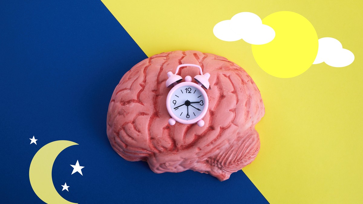Cirkadijalni ritmovi se pokreću „kontrolnim centrom“ u mozgu