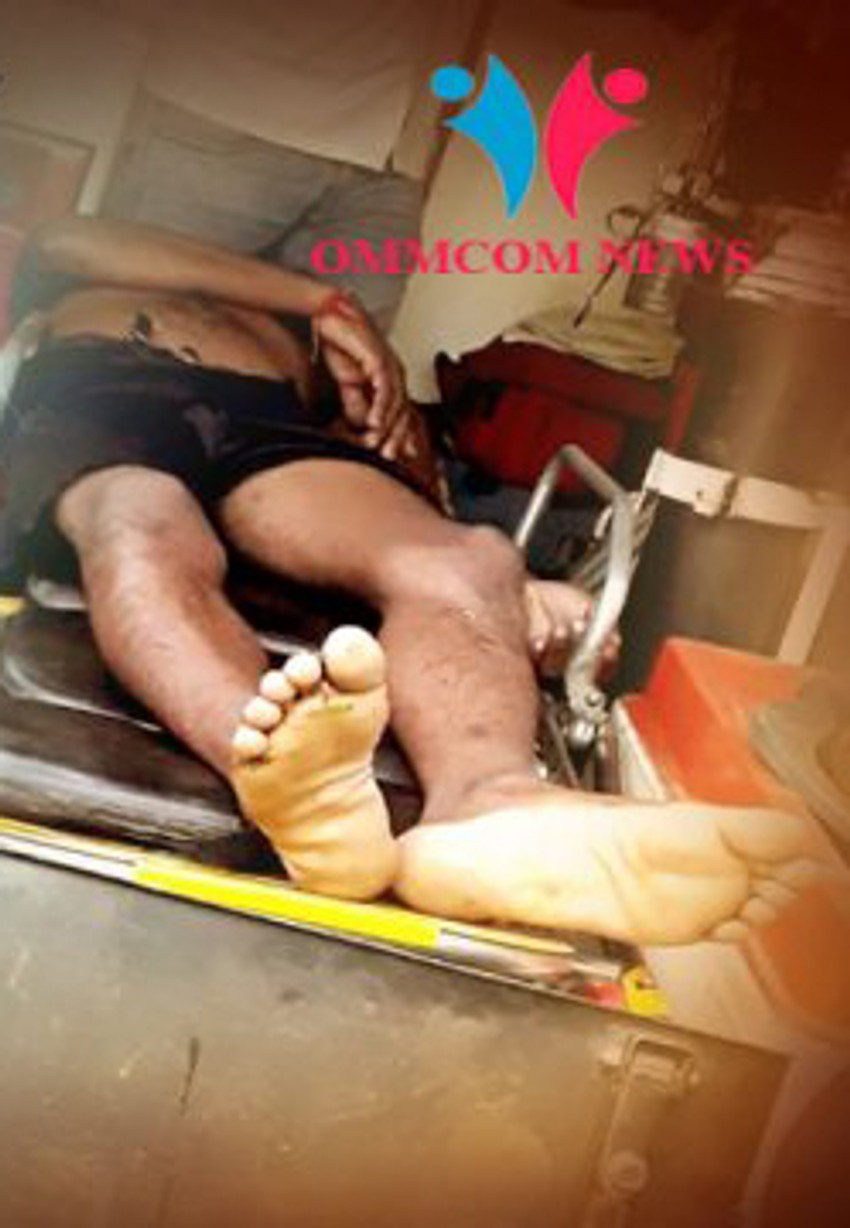 Bindo se ugušio pod kravljom balegom