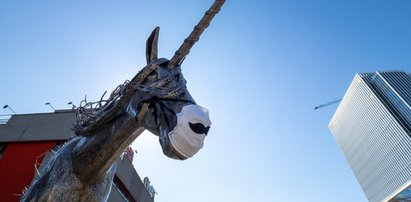 Jednorożec w Łodzi w masce. Jeż ze Zgierza nie gorszy