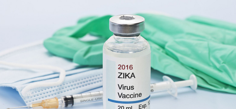 Będzie szczepionka na wirus Zika? „Za dziesięć lat”