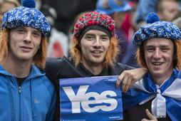 Szkocja referendum niepodległość