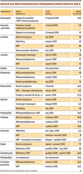 1,3 mld zł z regionów dla firm