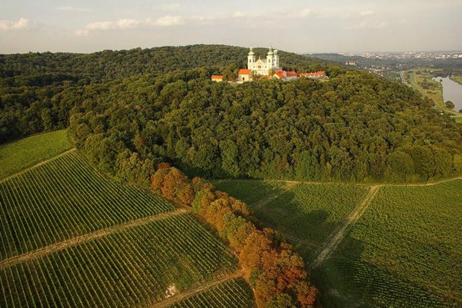 Winnica Srebrna Góra, fot. mat. prasowe