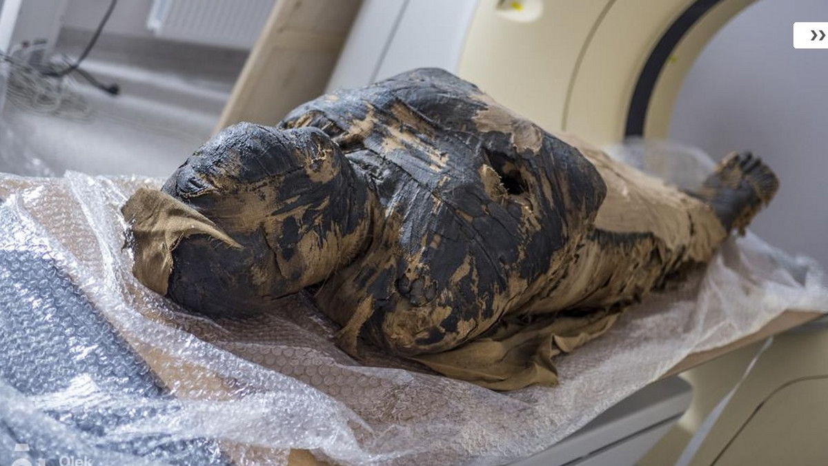 Mumia kapłana Hor-Dżehutiego, która znajduje się w Muzeum Narodowym w Warszawie, kryje pod zwojami bandaży ciało kobiety. O nietypowym znalezisku polscy naukowcy poinformowali w czwartek w czasie Światowego Kongresu Badań nad Mumiami w Limie w Peru.