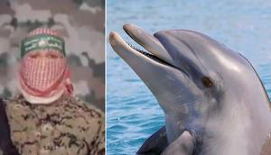 A Hamas spokesperson released a video saying the militant group had discovered an Israeli killer dolphin.