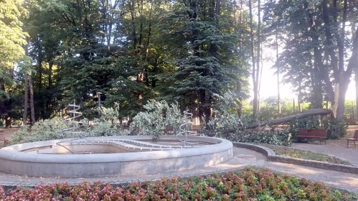 Nevreme oborilo drvo na elektro-orman