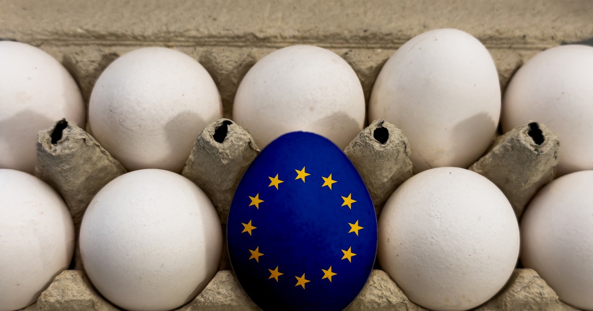 Jajeczna inflacja w UE. Polska blisko podium