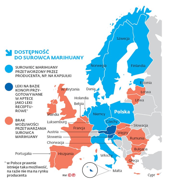 DOSTĘPNOŚĆ DO SUROWCA MARIHUANY