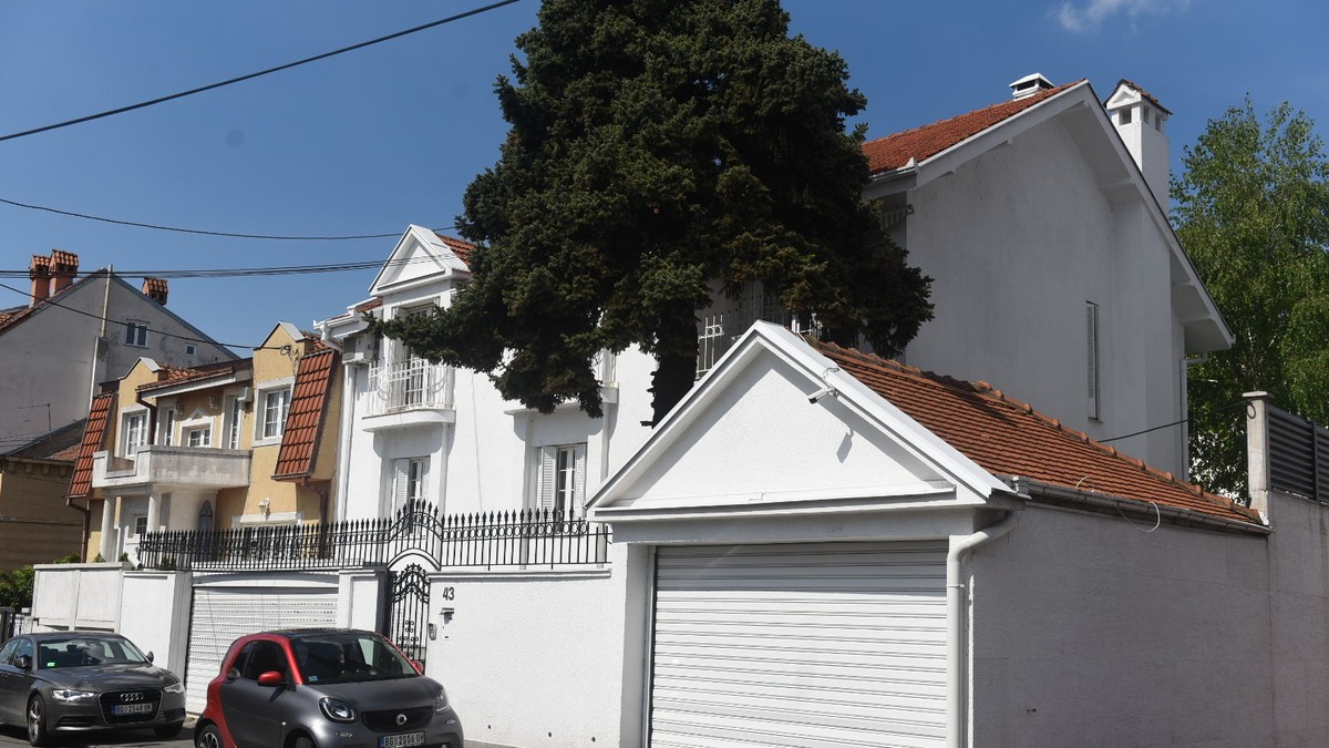 Vila Stefana Karića