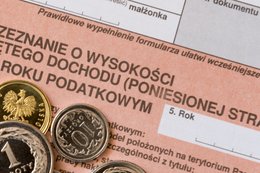 Fiskus da niższą karę firmie, która sama skoryguje deklarację