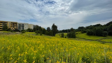 Miasto chce zmienić tereny inwestycyjne na zieleń dla mieszkańców. Inwestor grozi pozwem na ponad pół miliarda złotych