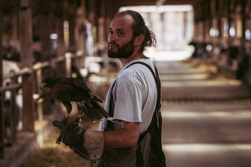 Radan Bulatović je profesionalni sokolar