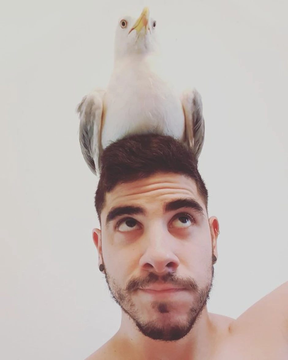 Stefan je imao i galeba