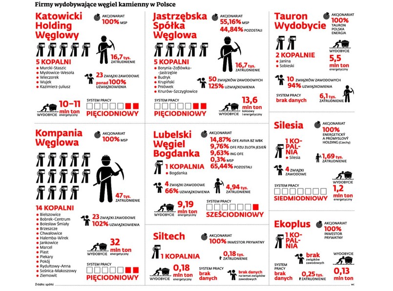 Firmy wydobywające węgiel kamienny w Polsce. INFOGRAFIKA