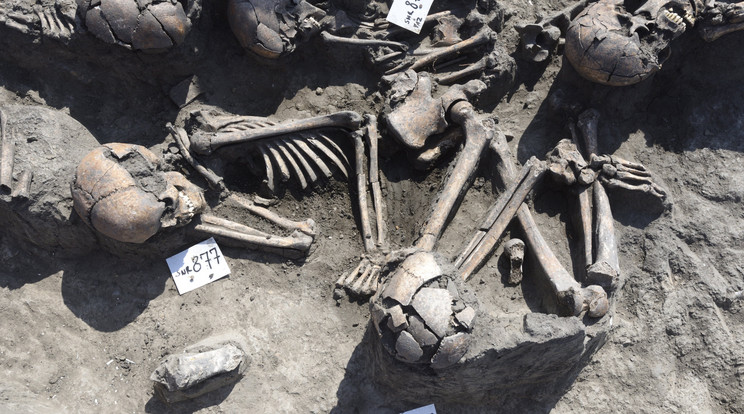Tizenegy ember maradványait találták meg a homokbányánál / Fotó: MTI - Kelemen Zoltán Gergely