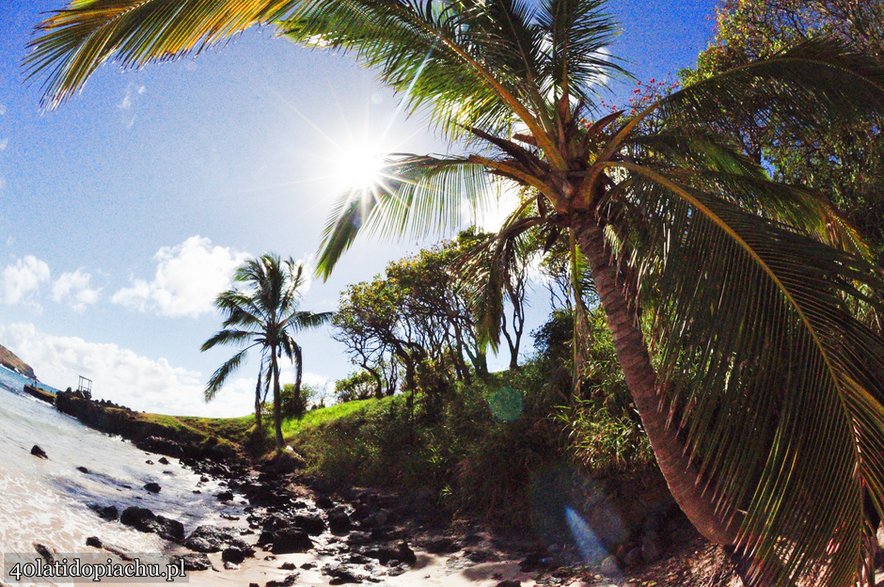 Plaża Anakena, Rapa Nui