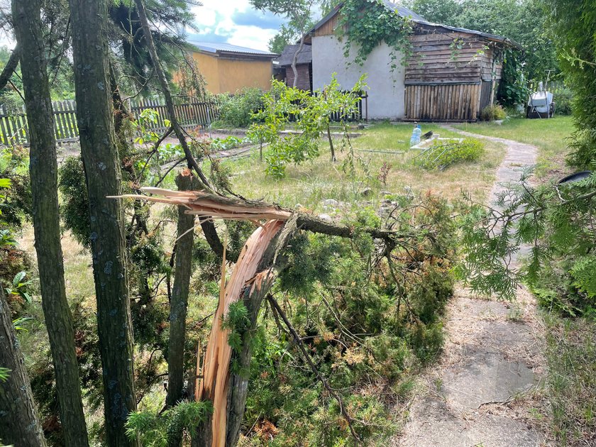 Szwagier tornado! Z zemsty zdemolował działkę