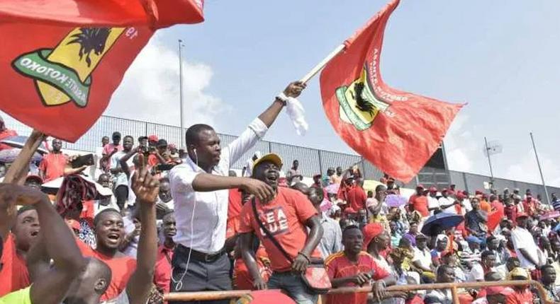 Kotoko fans