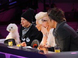 Skandal w programie Polsatu. "Niech jury przeprosi uczestnika!"